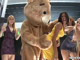 Dansende beer neukt latina kayla carrera nearly hete vrijgezellenfeest